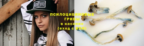 ПСИЛОЦИБИНОВЫЕ ГРИБЫ Нязепетровск