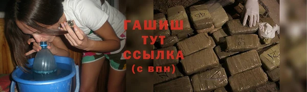МДПВ Бородино