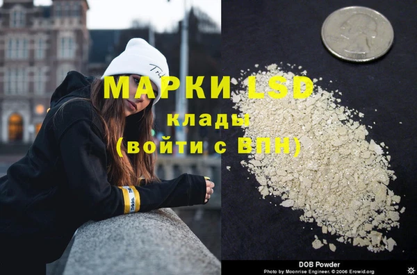 МДПВ Новодвинск