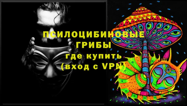МДПВ Новодвинск
