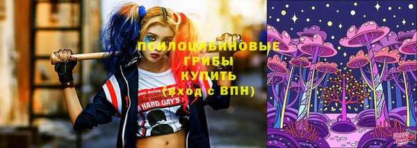 МДПВ Новодвинск