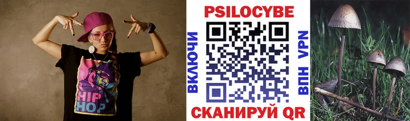 где можно купить   Кириллов  Галлюциногенные грибы мухоморы 