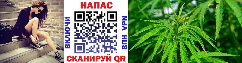 Каннабис конопля  Кириллов 
